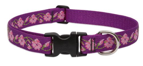Lupine Originals Pattern Adjustable Dog Collar - Rose Garden
