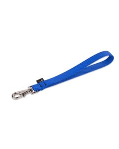 Lupine Basics Dog Training Tab - Blue