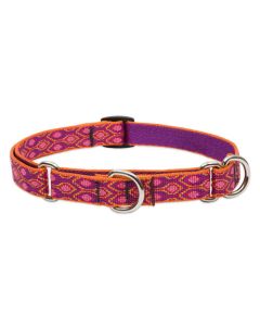 Lupine Originals Martingale Combo Dog Collar - Alpen Glow