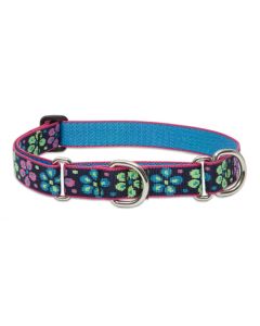 Lupine Originals Martingale Combo Dog Collar - Flower Power