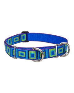 Lupine Originals Martingale Combo Dog Collar - Sea Glass