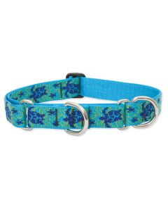Lupine Originals Martingale Combo Dog Collar - Turtle Reef
