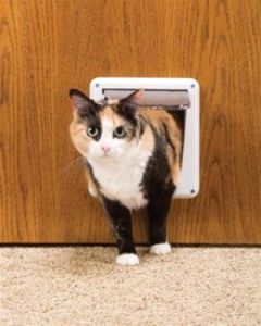 PetSafe Deluxe Cat Flap