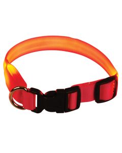 Animal Treasures LED Dog Collar - Orange