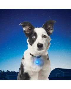 Nite Ize SpotLit - LED Pet Collar Light