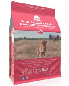 Open Farm Ancient Grains Wild Caught Salmon Dry Dog Food