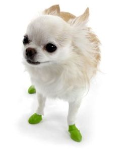 Pawz Dog Boots (12 individual rubber boots/pack)