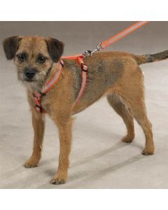 Guardian Gear Reflective Dog Harnesses