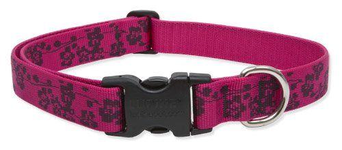 Lupine Originals Pattern Adjustable Dog Collar - Plum Blossom