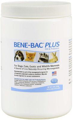 PetAg Bene-Bac Plus Pet Powder 16oz