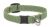 Lupine Eco Adjustable Cat Collar - Moss