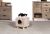 Prevue Hendryx Cozy Cube for Cats or Small Dogs