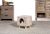 Prevue Hendryx Cozy Cube for Cats or Small Dogs