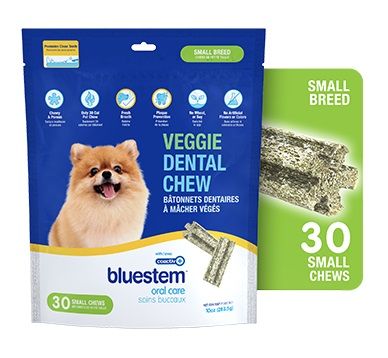 Bluestem Veggie Dental Chews With Coactiv+ For Dogs