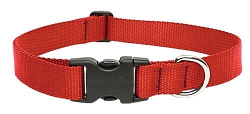 Lupine Basics Adjustable Dog Collar - Red