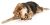 Planet Dog Orbee-Tuff Strawberry w/ Treat Spot Dog Toy