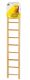 Prevue Hendryx Birdie Basics Bird Ladder