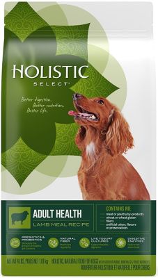 Holistic Select Adult Health Lamb Meal Dry Dog Food