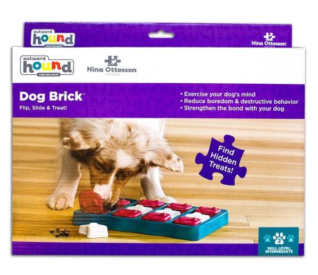 Outward Hound Nina Ottosson Dog Brick Puzzle Toy