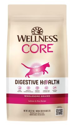 Wellness CORE Digestive Health Salmon & Rice Dry Cat Food	