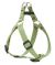 Lupine Eco Adjustable Dog Harness - Moss