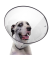 Acorn Pet Calm Paws Basic E-Collar For Dogs