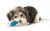 Petstages Orka Chew Pair Small Dog Toy