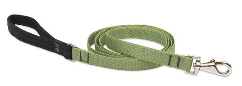 Lupine Eco Dog Leash - Moss